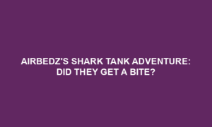 AirBedzs Shark Tank Adventure Did They Get a Bite BoyQuang AirBedzs Shark Tank Adventure Did They Get a Bite