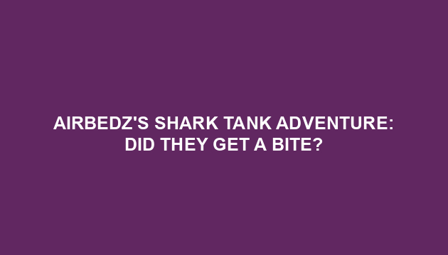 AirBedz's Shark Tank Adventure: Did They Get a Bite?